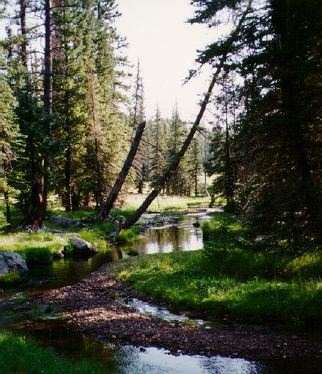 Little Colorado River